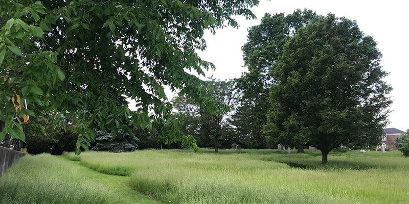 Warrensville West Cemetery in summer 2022 with mown pathways