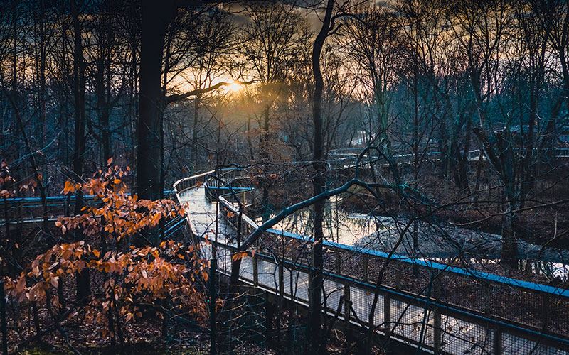 Sunset at Nature Center  by Mark Goode, winner of 2023 Preservation Month Photo Contest